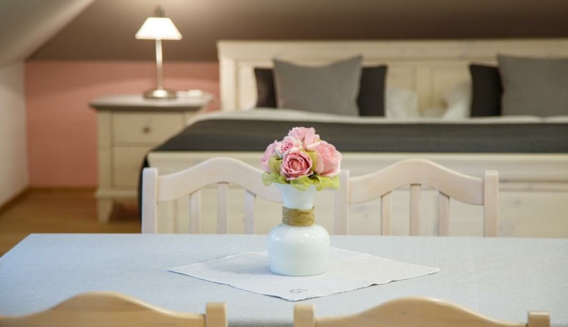 Vila Terra Luhačovice - Apartmán v podkroví s kuchyňkou