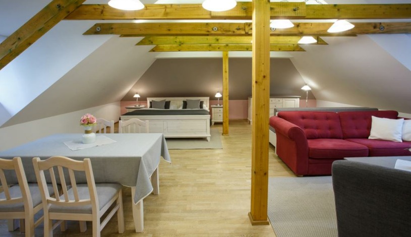 Vila Terra Luhačovice - Apartmán v podkroví s kuchyňkou