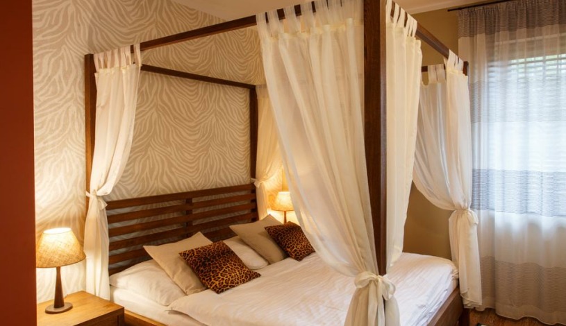 Vila Terra Luhačovice - Jednopokojový apartmán s kuchyňkou