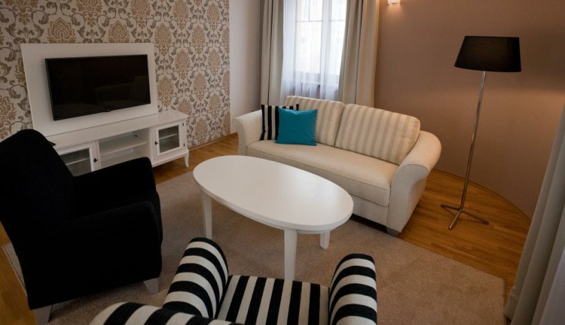 Vila Terra Luhačovice - Jednopokojový apartmán s kuchyňkou