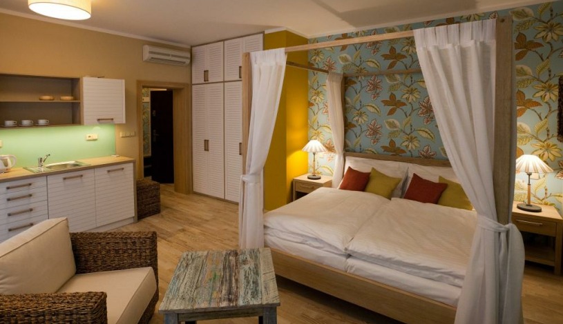 Vila Terra Luhačovice - Jednopokojový apartmán s kuchyňkou