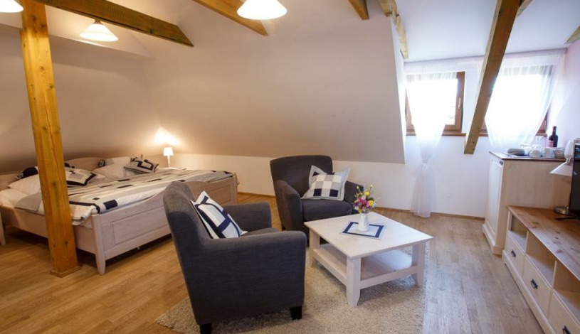 Vila Terra Luhačovice - Dvoulůžkový podkrovní pokoj s lednicí