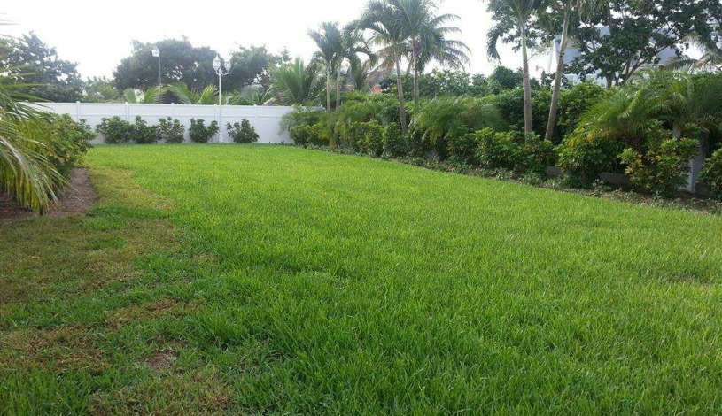 Apartment The Venito Nassau - Apt 35175