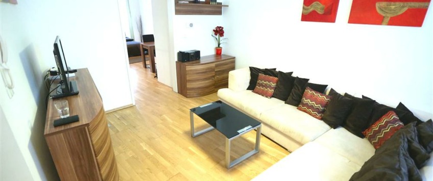 Apartment Thurygasse Wien - Apt 21239