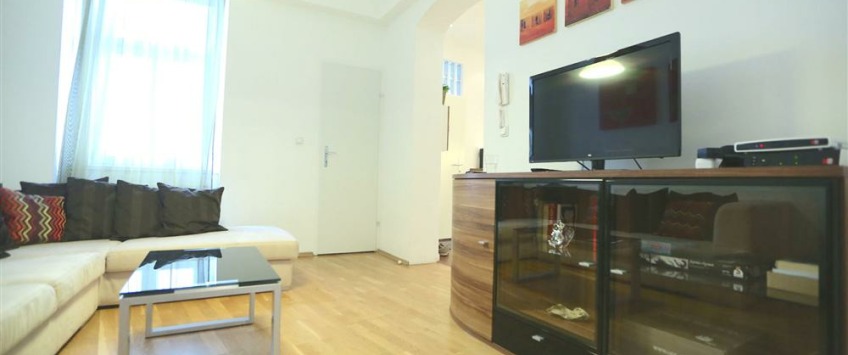 Apartment Thurygasse Wien - Apt 21239