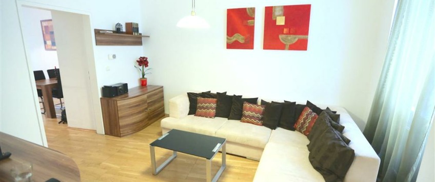 Apartment Thurygasse Wien - Apt 21239