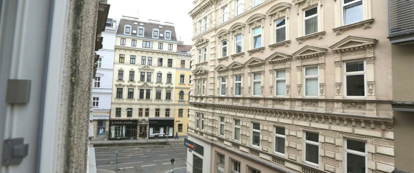 Apartment Thurygasse Wien - Apt 21239