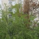 Apt 21239 - Apartment Thurygasse Wien