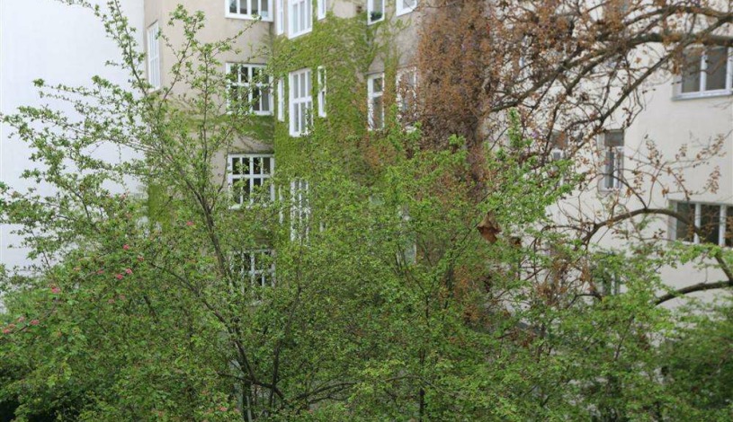 Apartment Thurygasse Wien - Apt 21239