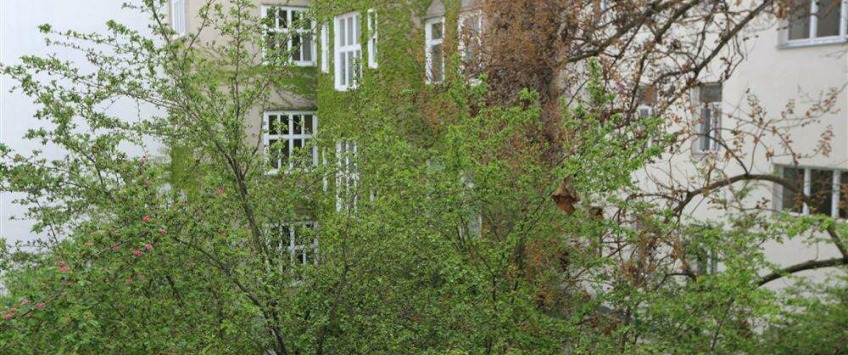 Apartment Thurygasse Wien - Apt 21239