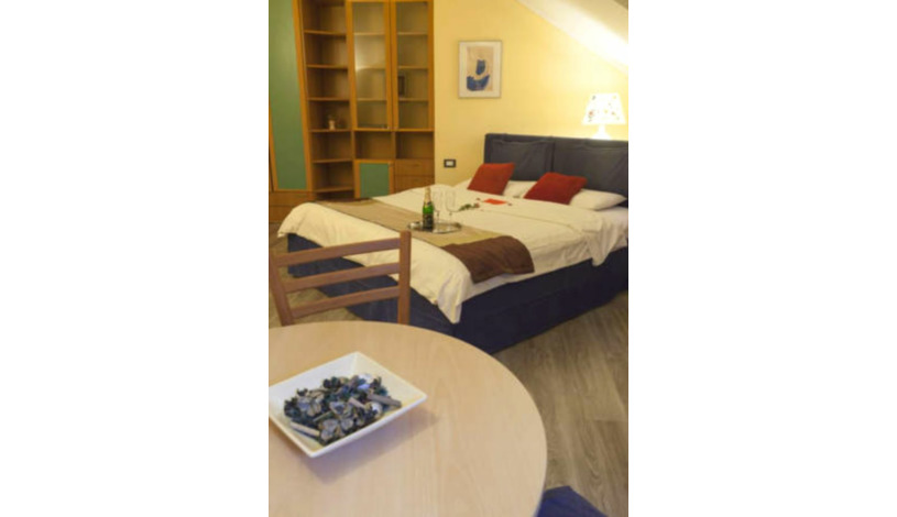 Central Hotel Tiepolo Praha - Apartament (1 osoba), Apartament (2 osoby)