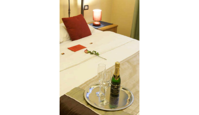 Central Hotel Tiepolo Praha - Apartament (1 osoba)
