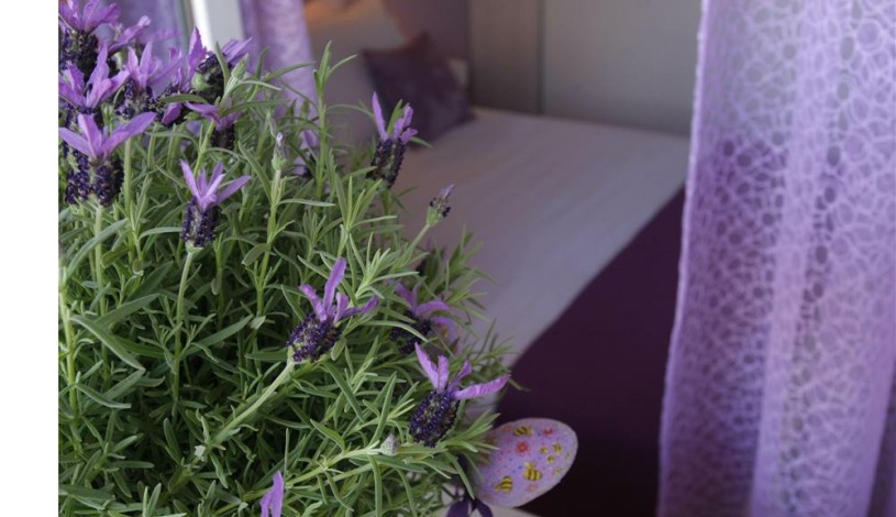 Apartment Tončićeva ulica Split - Apt 17330