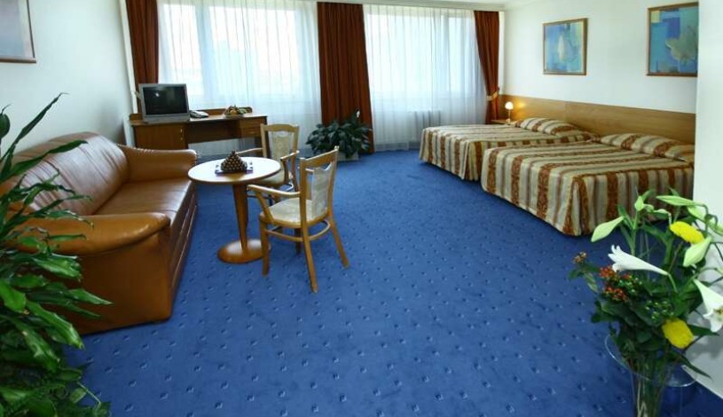 Top Hotel Praha