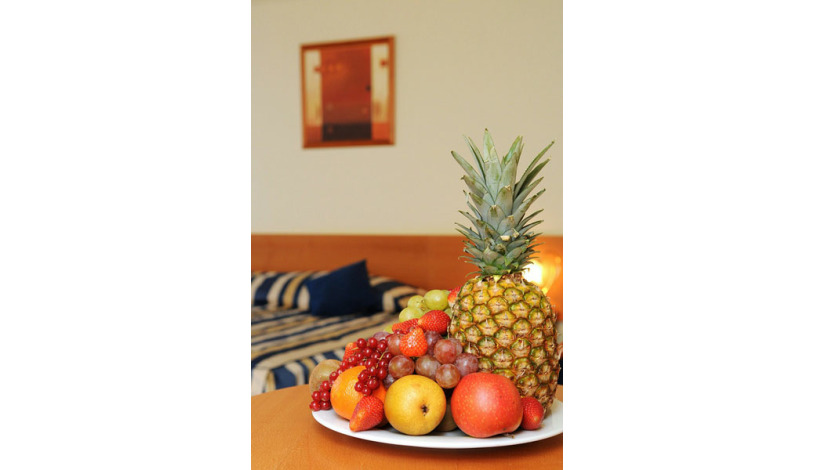 Top Hotel Praha