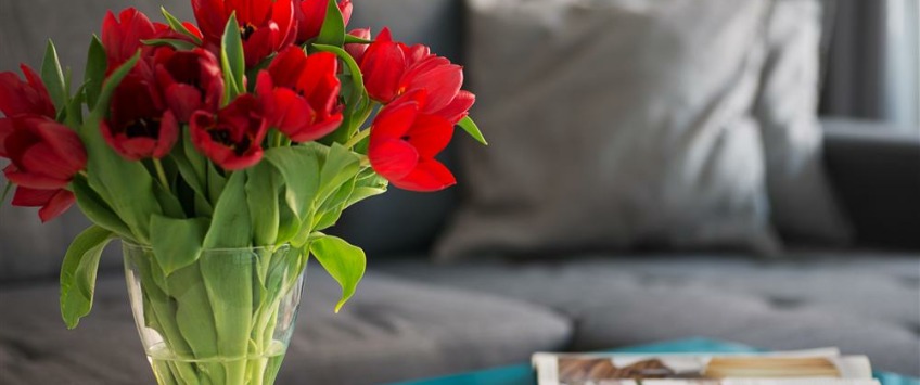 Apartment Toruńska Gdańsk - Apt 30881