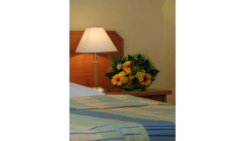 Hotel Tosca Praha - Pokój 1-osobowy