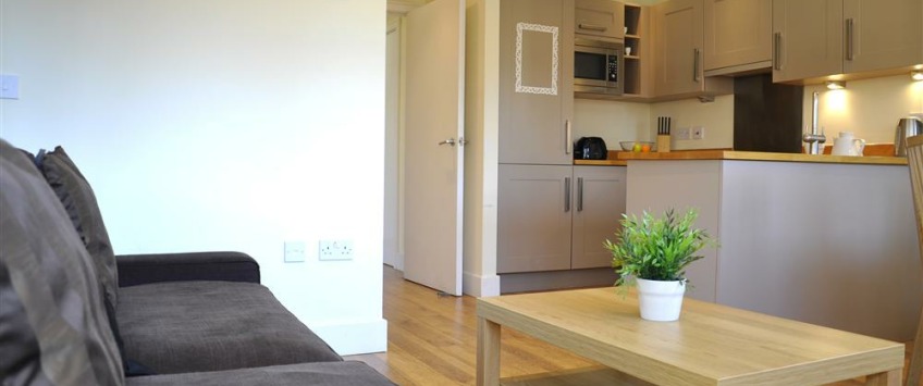 Apartment Tower Bridge Road London - Tower Bridge 2 Superior