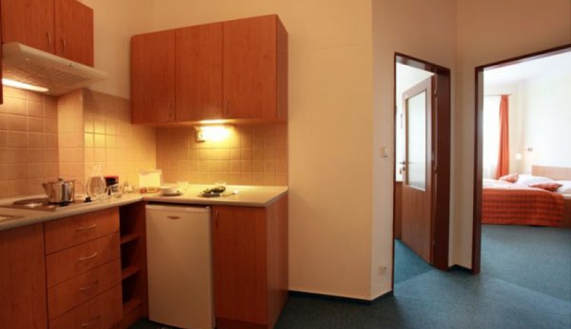 Travel Hotel Prague Praha - Apartament (4 osoby)