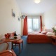 Double room - Travel Hotel Prague Praha