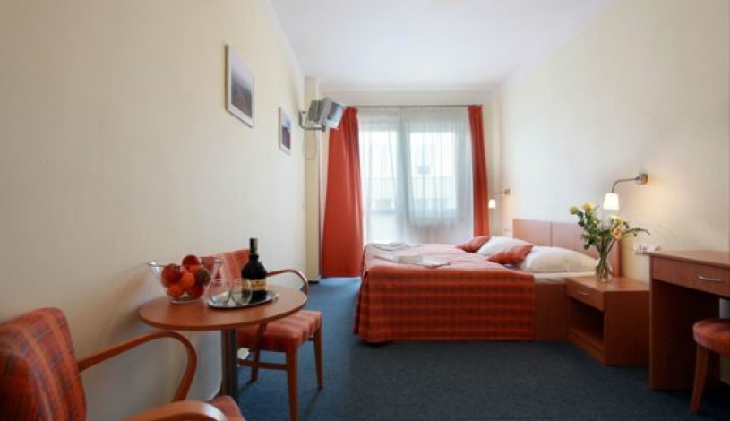 Travel Hotel Prague Praha - Pokój 2-osobowy