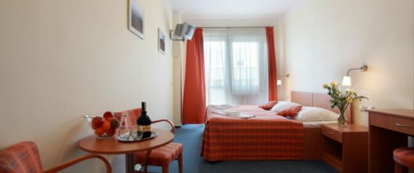 Travel Hotel Prague Praha - Double room