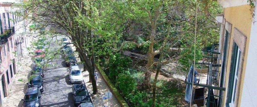 Apartment Travessa Arrochela Lisboa - Apt 21625