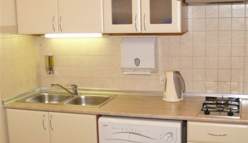 Apartment Triokhsviatytelska Kiev - Apt 19465