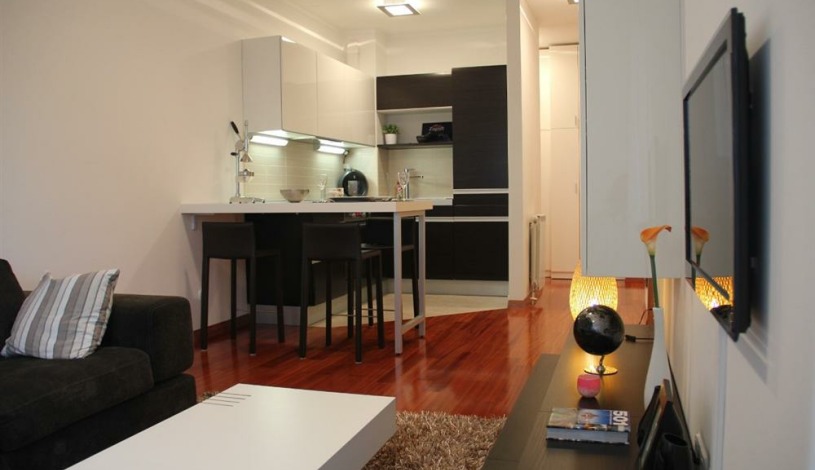 Apartment Trnjanska cesta Zagreb - Apt 23722