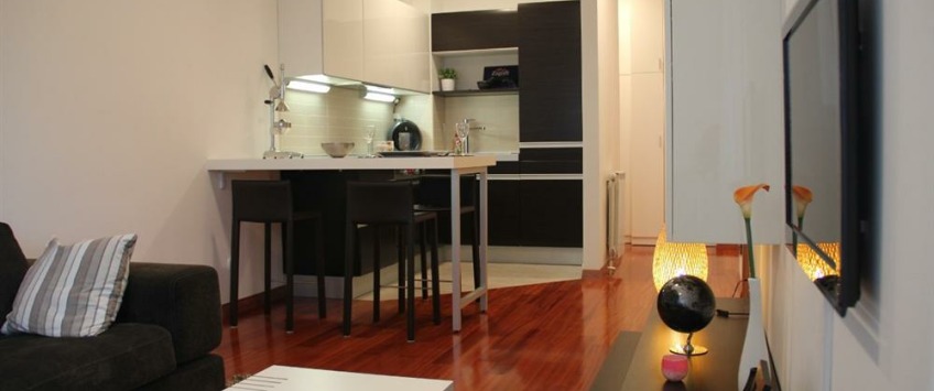 Apartment Trnjanska cesta Zagreb - Apt 23722