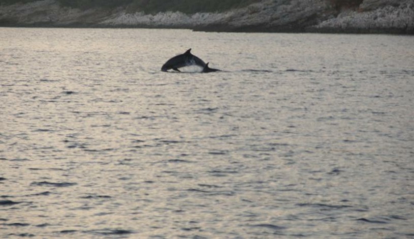Penzion Kapitánka Kořenov
