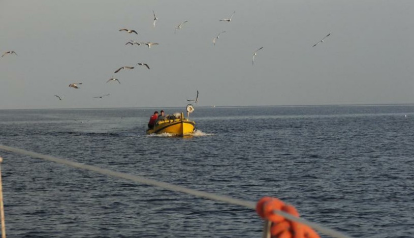 Penzion Kapitánka Kořenov