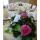 Hotel Karel IV Turnov