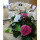 Hotel Karel IV Turnov