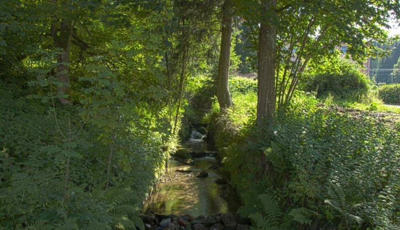 Apartmány Lestarka Kořenov