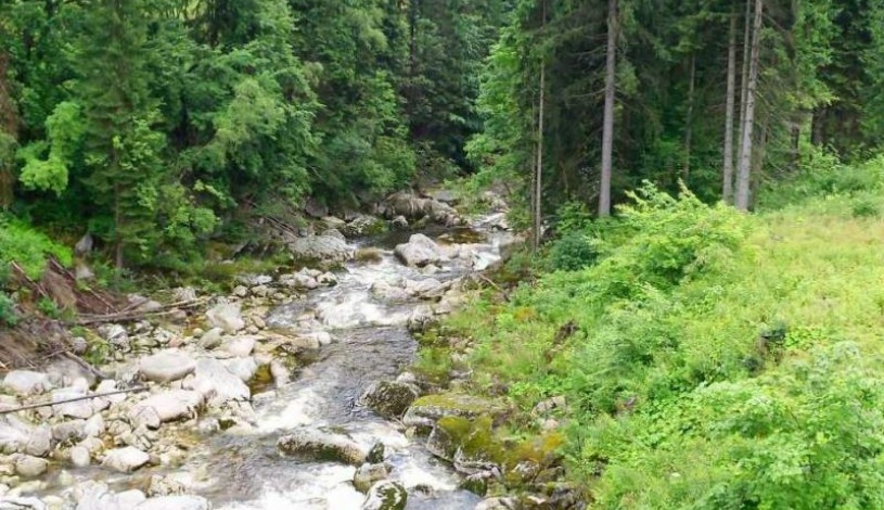 Apartmány Lestarka Kořenov