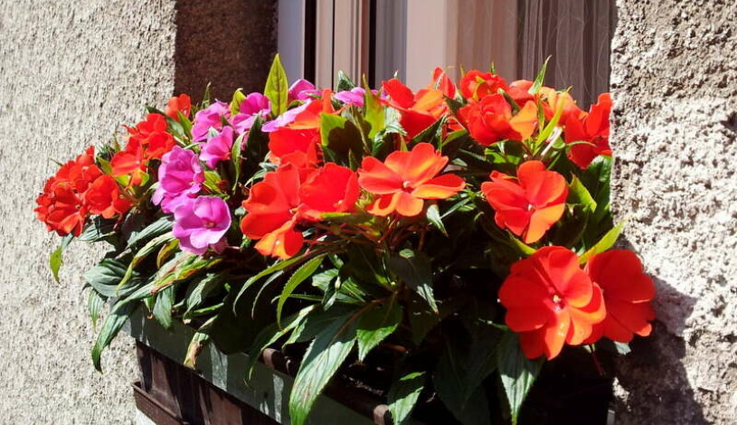 Apartment Tuškanova ulica Zagreb - Apt 24292