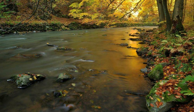 Hotel U Beránka Náchod