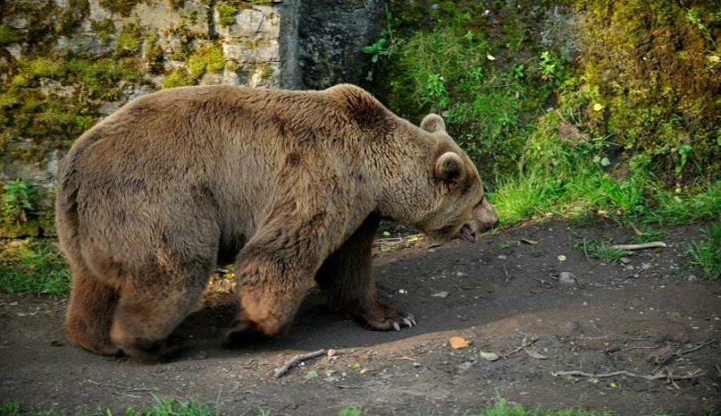 Hotel U Beránka Náchod