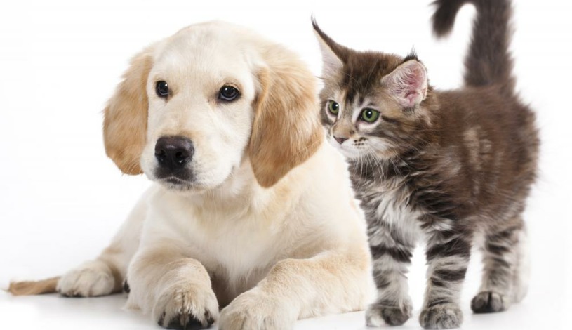 Hotel U Beránka Náchod