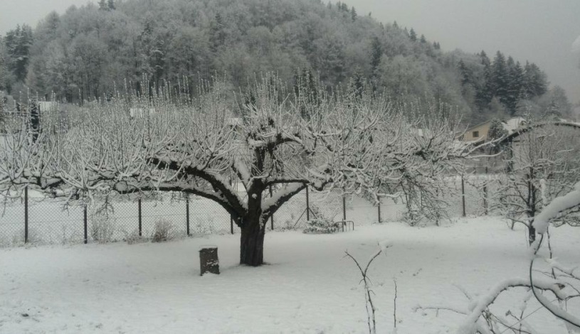 Ubytování Lumik Jeseník