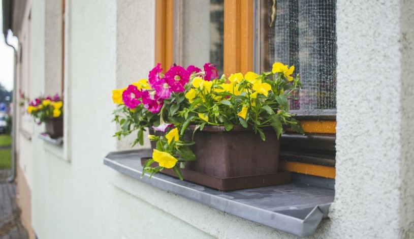 Ubytování U Světa Třeboň