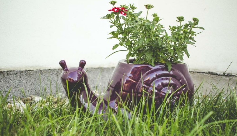 Ubytování U Světa Třeboň