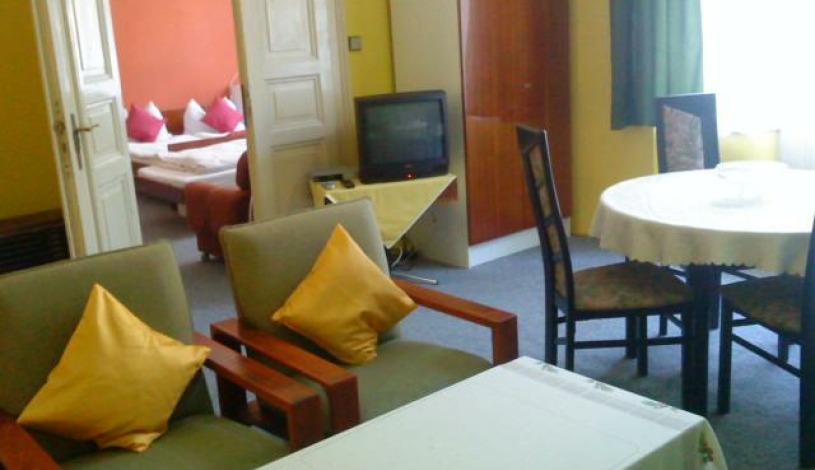 Retro Apartment Teplice - Obývací pokoj