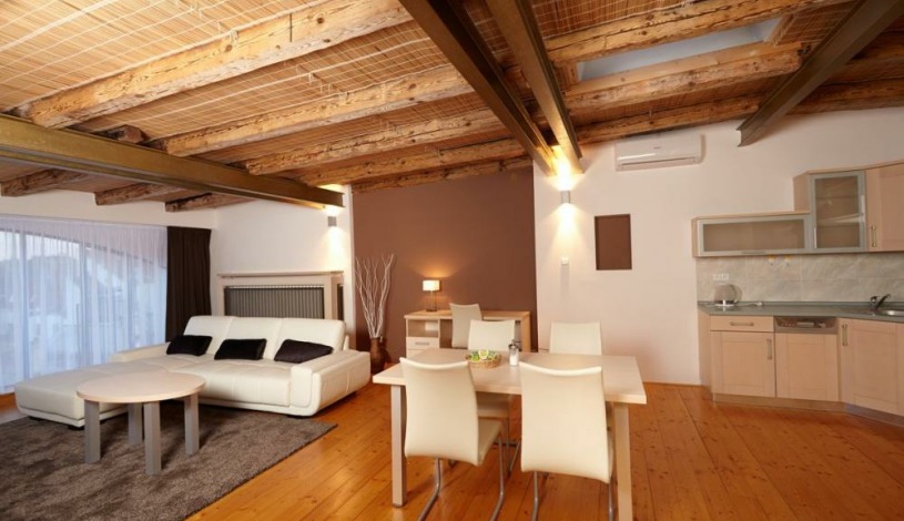 Residence U Černé věže České Budějovice - TOP view apartmán