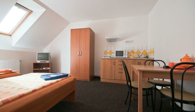 Penzion U Gigantu Plzeň - apartmán