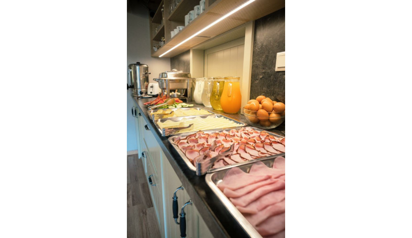 Penzion U Gigantu Plzeň