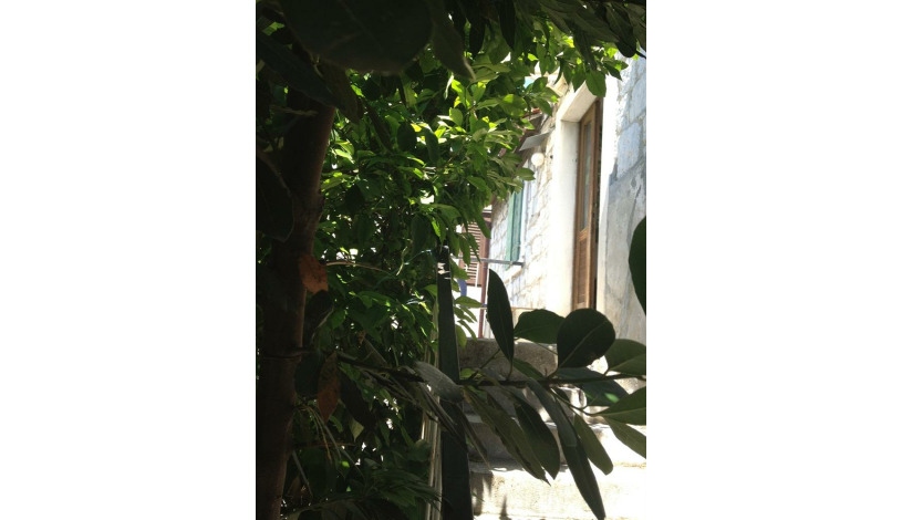 Apartment Ujevićeva poljana Split - Apt 23964