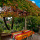 Apartment Ulica Antuna Masle Dubrovnik - Apt 36563