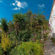 Apt 36563 - Apartment Ulica Antuna Masle Dubrovnik